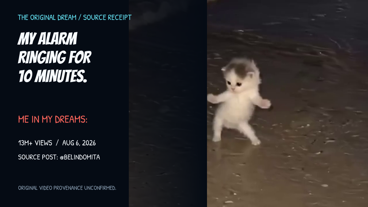 Source card showing the original dancing-cat frame beside the alarm-dream caption and source information.